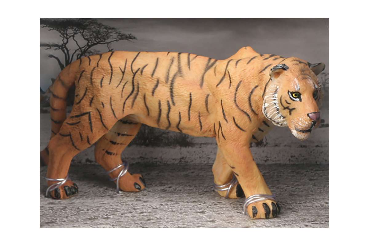 Tiger i åben æske 16x9,5x11cm