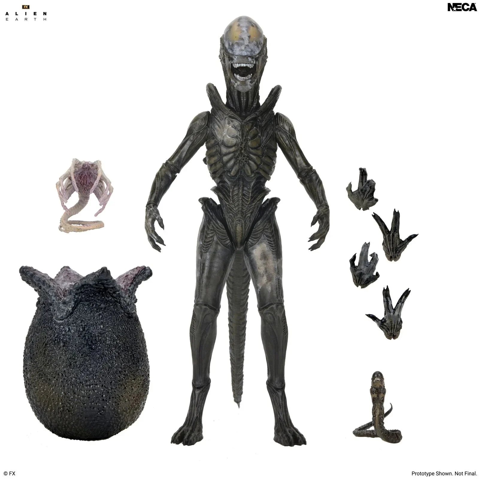 ALIEN EARTH - Wendy Xenomorph - Figure Ultimate 17cm