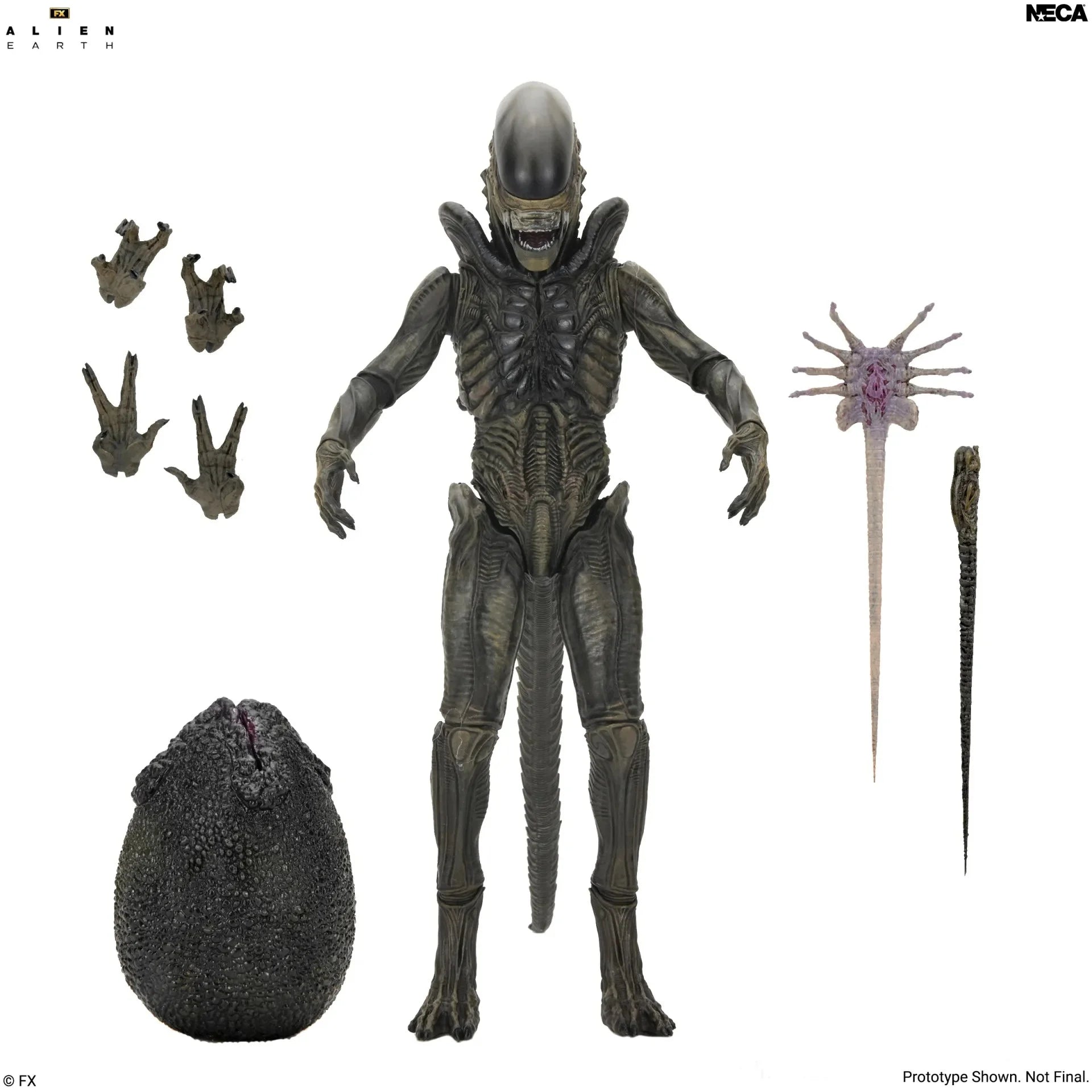 ALIEN EARTH - Xenomorph - Figure Ultimate 17cm