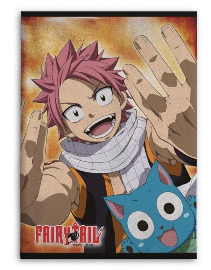 FAIRY TAIL – Natsu & Happy – Polarfleece 100 x 140 cm
