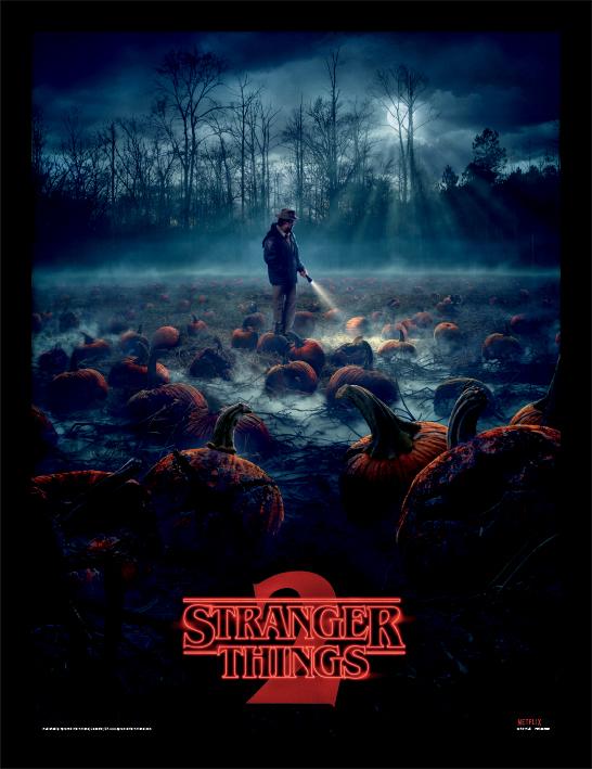 STRANGER THINGS – Kürbisbeet – gerahmter Druck 30 x 40 cm