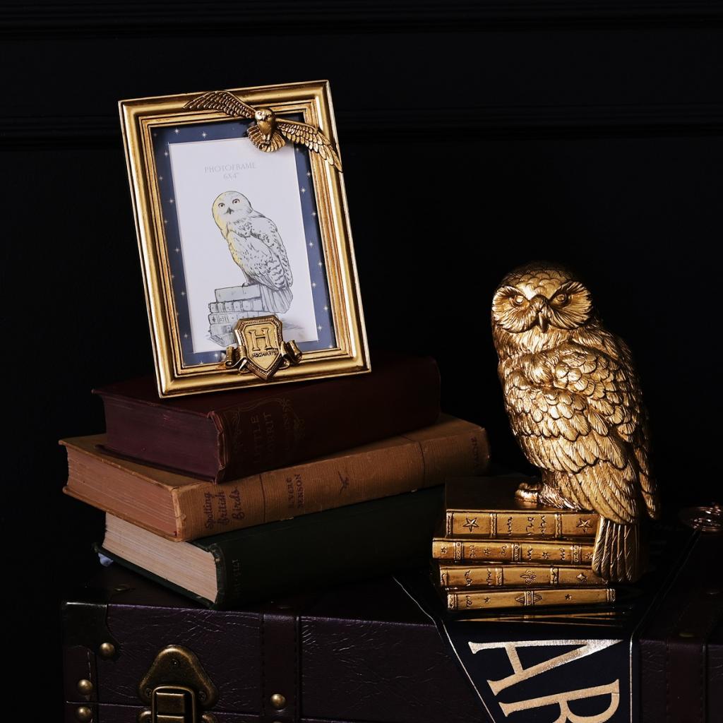 HARRY POTTER - Hedwige - Cadre Photo 3D
