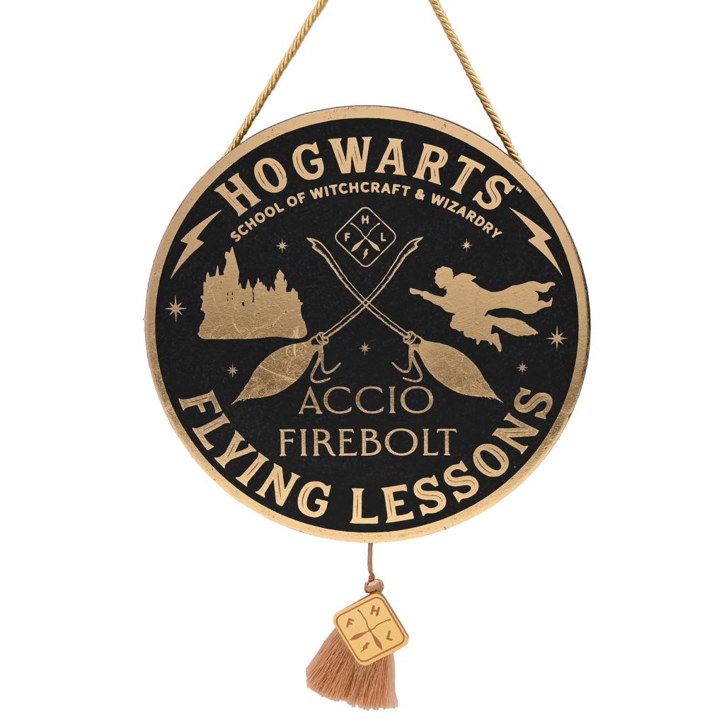 HARRY POTTER – Flugstunde – Wanddekoration