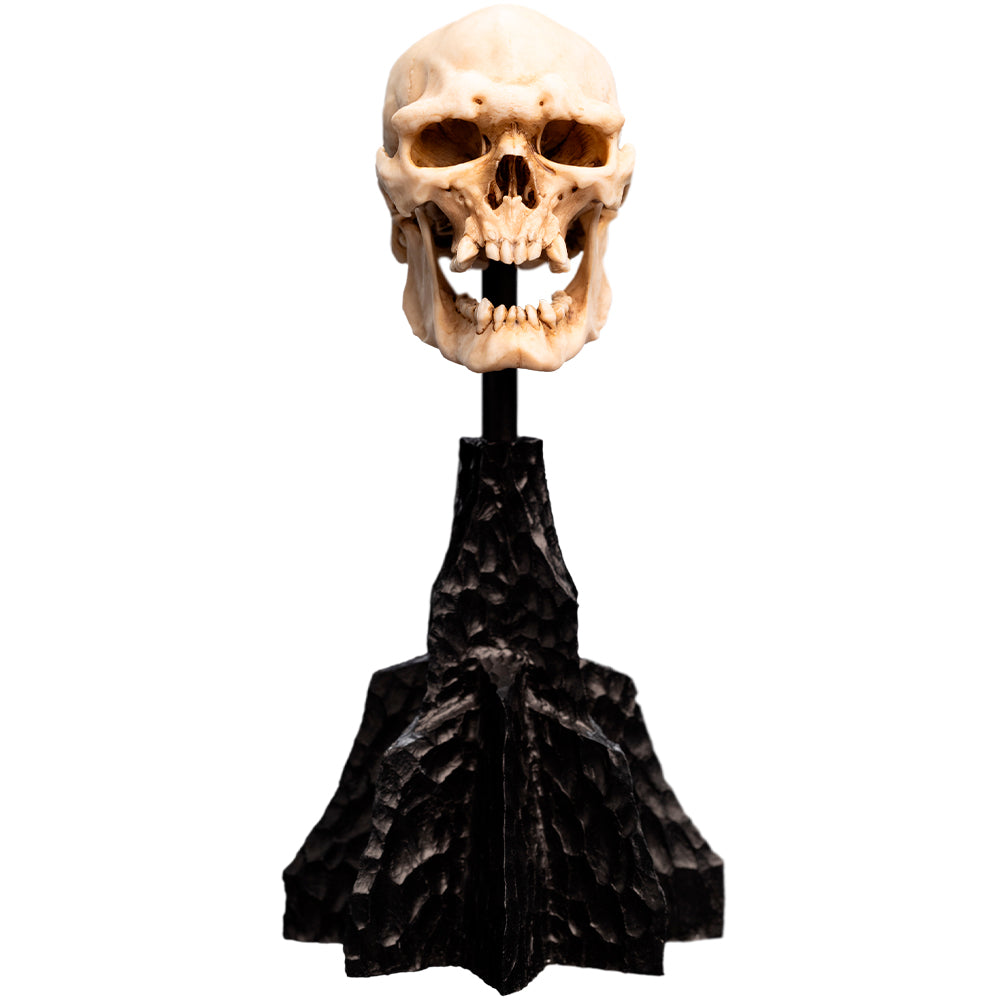 Weta Workshop The Lord of the Rings - Miniature Skull of a Mordor Orc