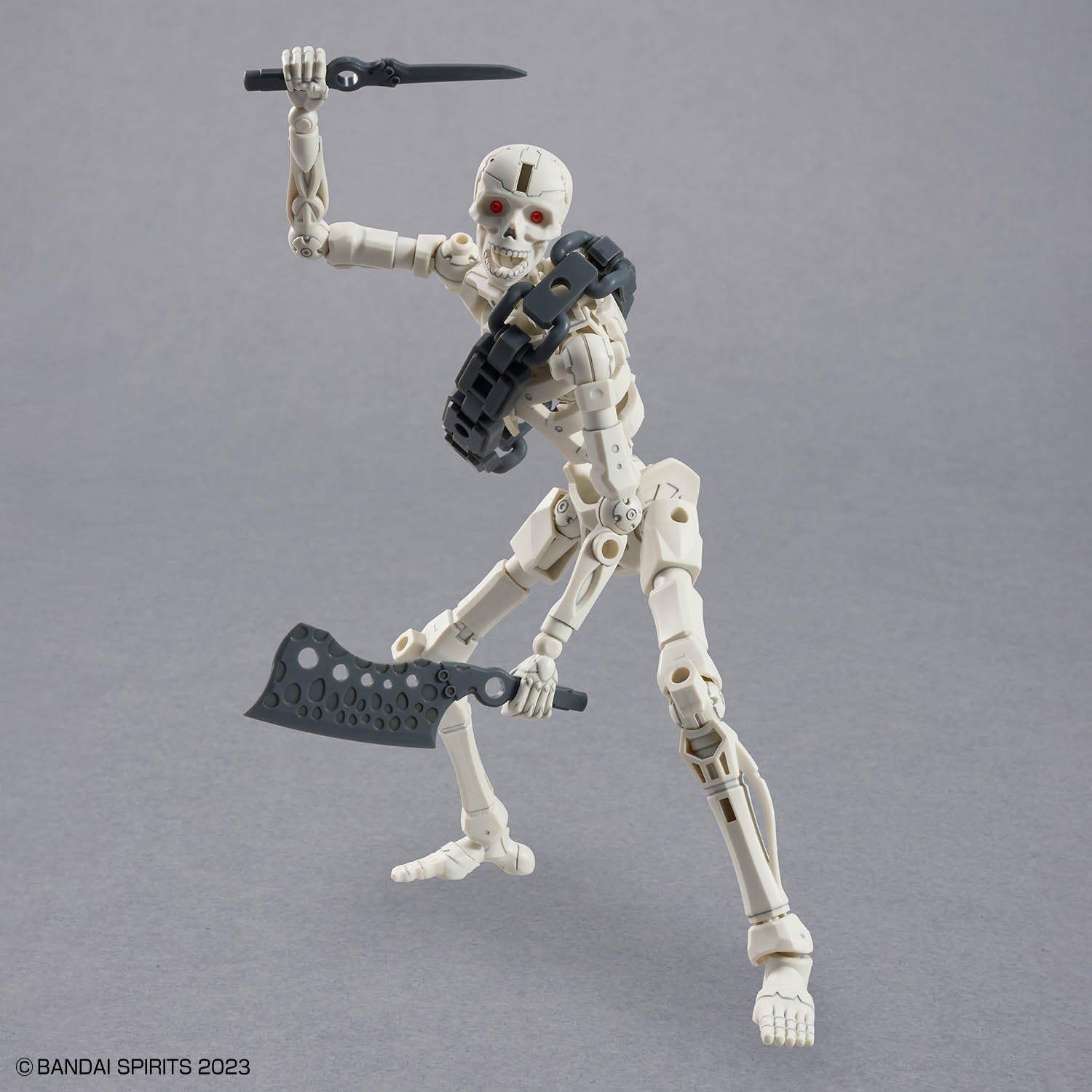 30MF DLRSkeleton