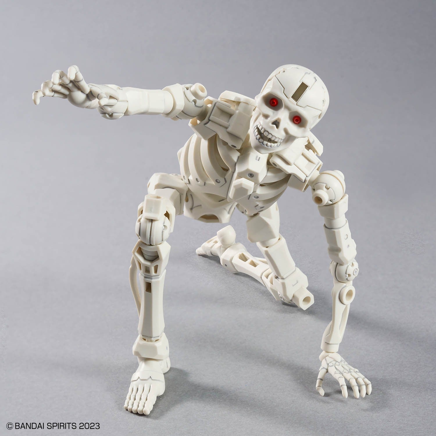 30MF DLRSkeleton