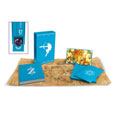 Legend of Zelda Breath of the Wild Art Book Creating A Champion Hero's Edition
