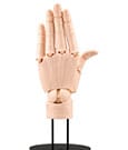Takahiro Kagami PVC Künstlerunterstützungsartikel Hand 1/1 Modell/L Blassorange 21 cm