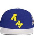 My Hero Academia Snapback All Might