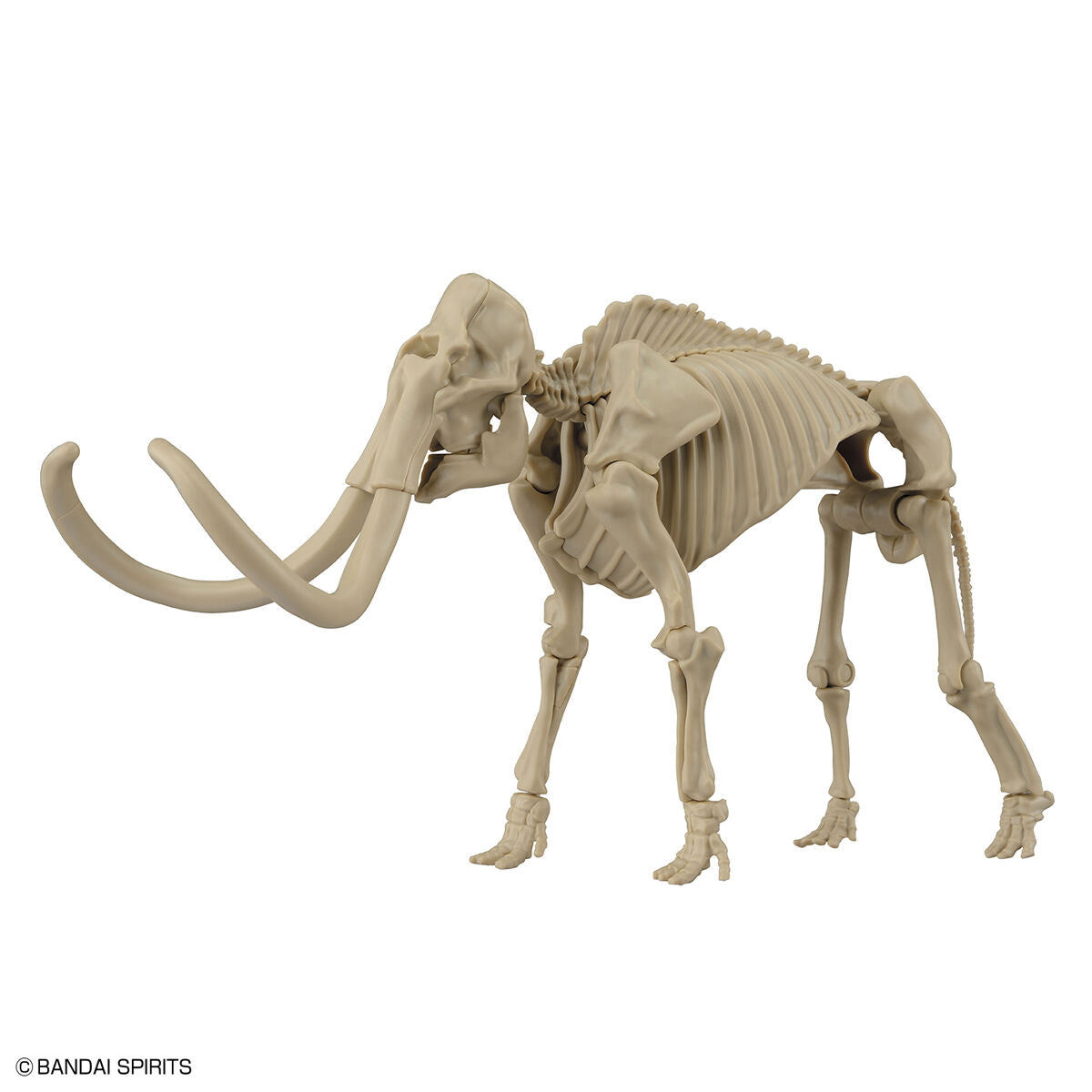 Exploring Lab Nature Mammut *Beschädigte Box*
