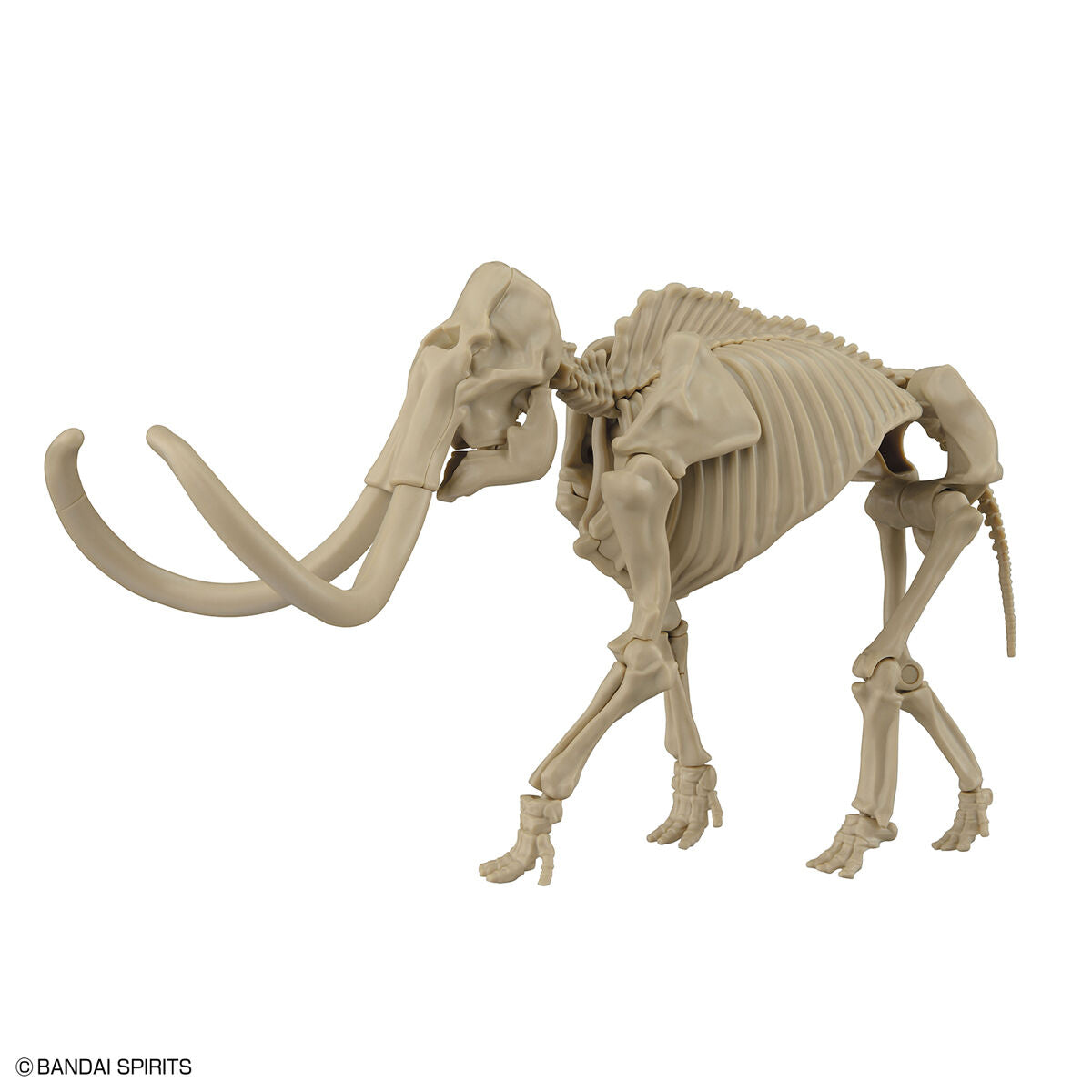 Exploring Lab Nature Mammut *Beschädigte Box*