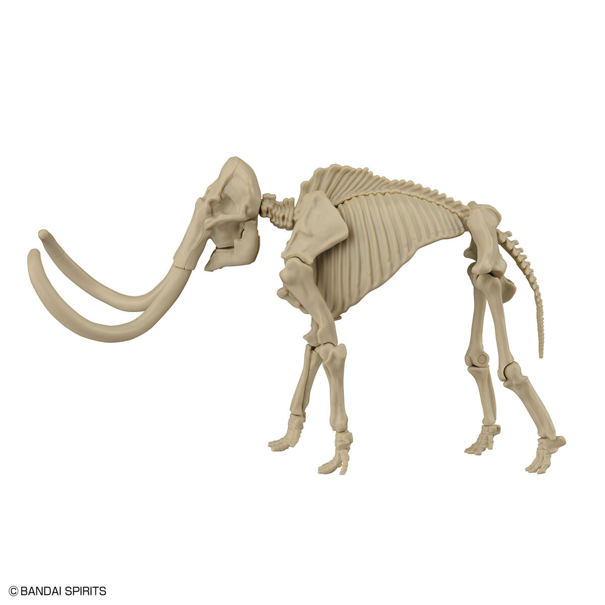 Exploring Lab Nature Mammut *Beschädigte Box*