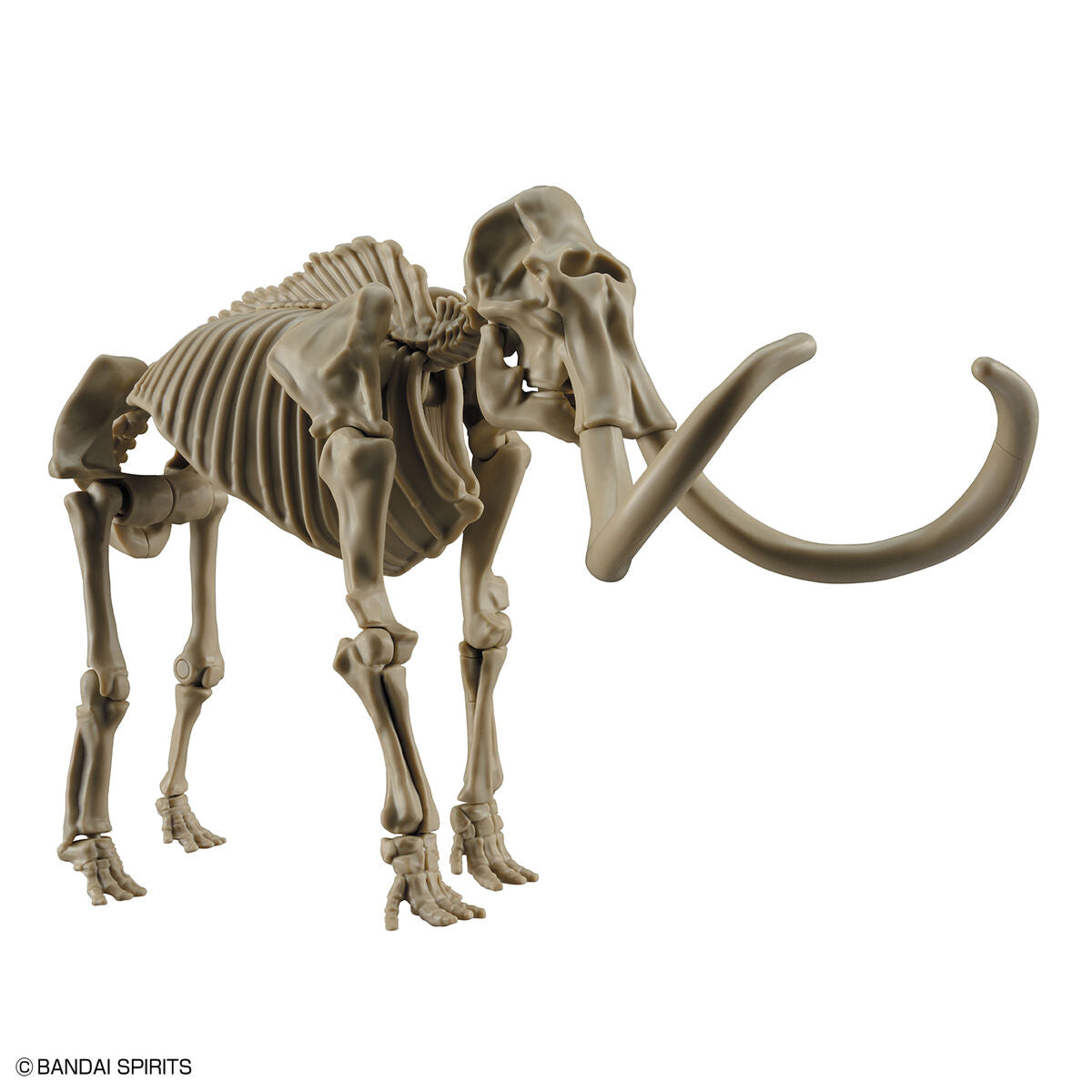 Exploring Lab Nature Mammut *Beschädigte Box*