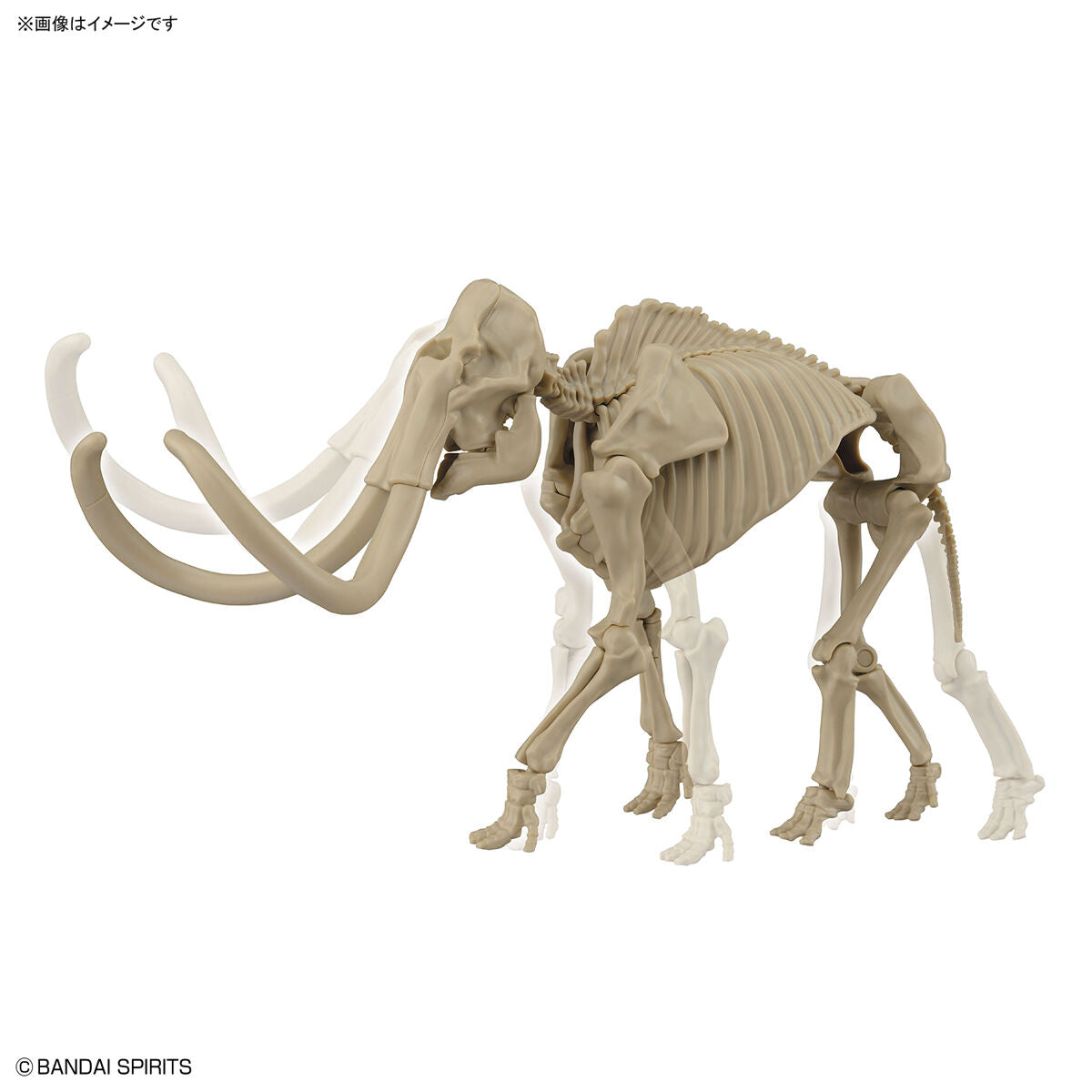 Exploring Lab Nature Mammut *Beschädigte Box*