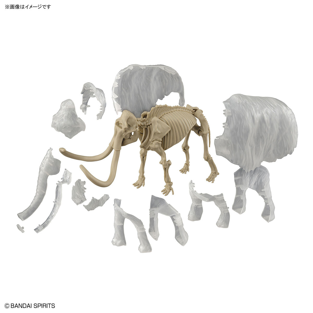 Exploring Lab Nature Mammut *Beschädigte Box*