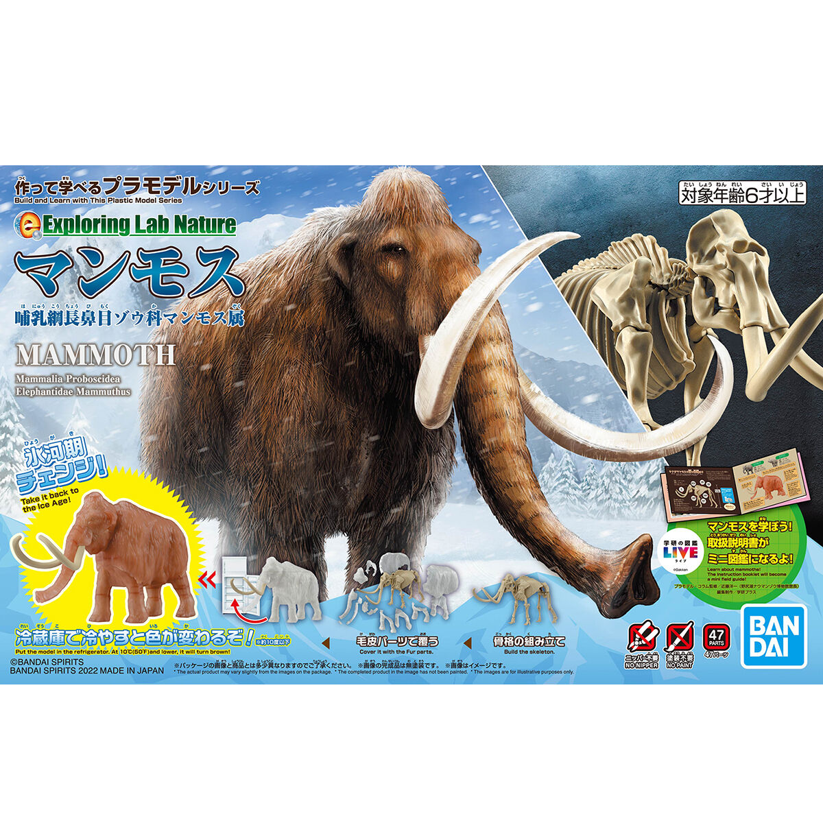 Exploring Lab Nature Mammut *Beschädigte Box*