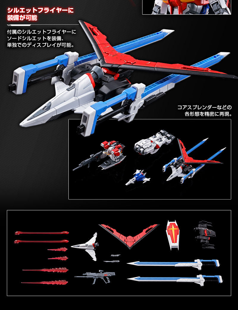 RG Sword Impulse Gundam – P-Bandai 1/144