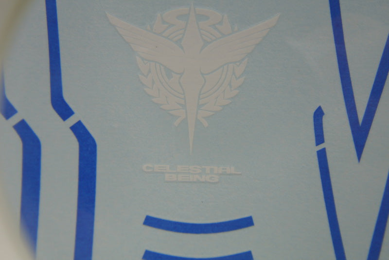 DL-Modellaufkleber – P07 – PG 00 Raiser 1/60