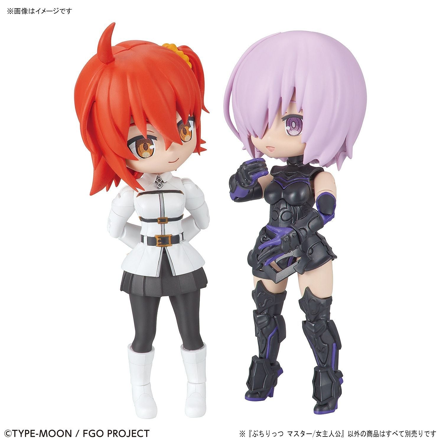 Fate Grand Order: Petitrits Saber Master Protagonist