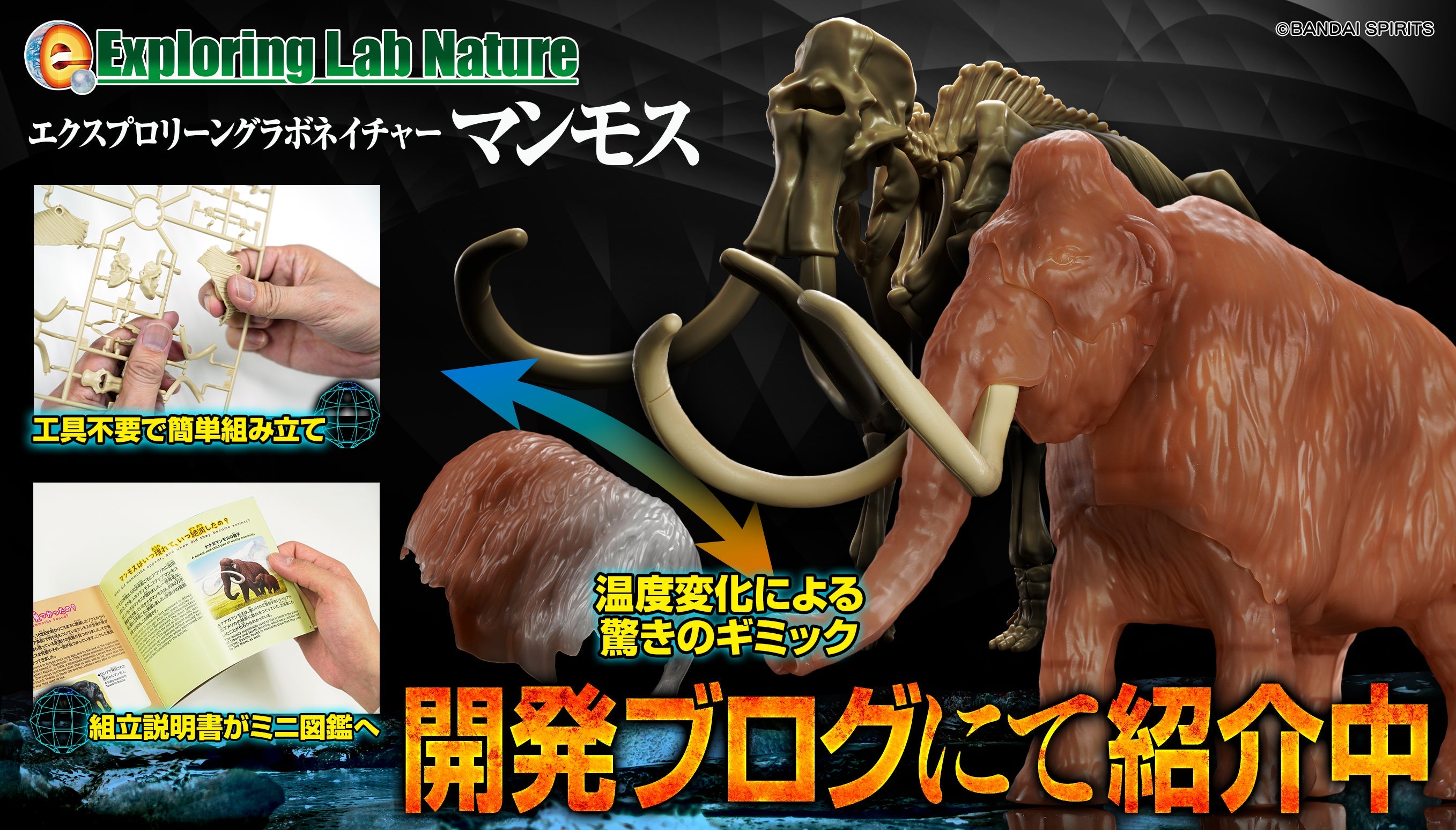 Exploring Lab Nature Mammut *Beschädigte Box*