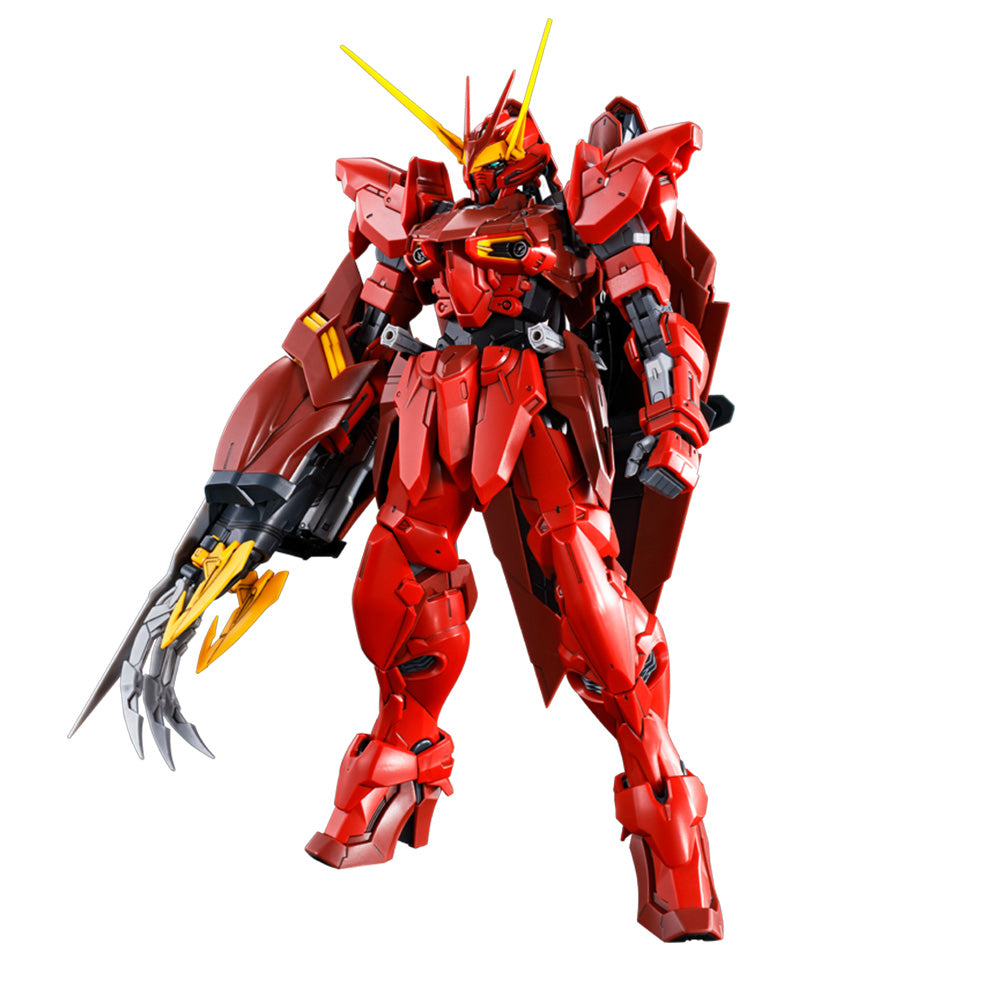 MG RGX-00 Testament Gundam – P-Bandai 1/100