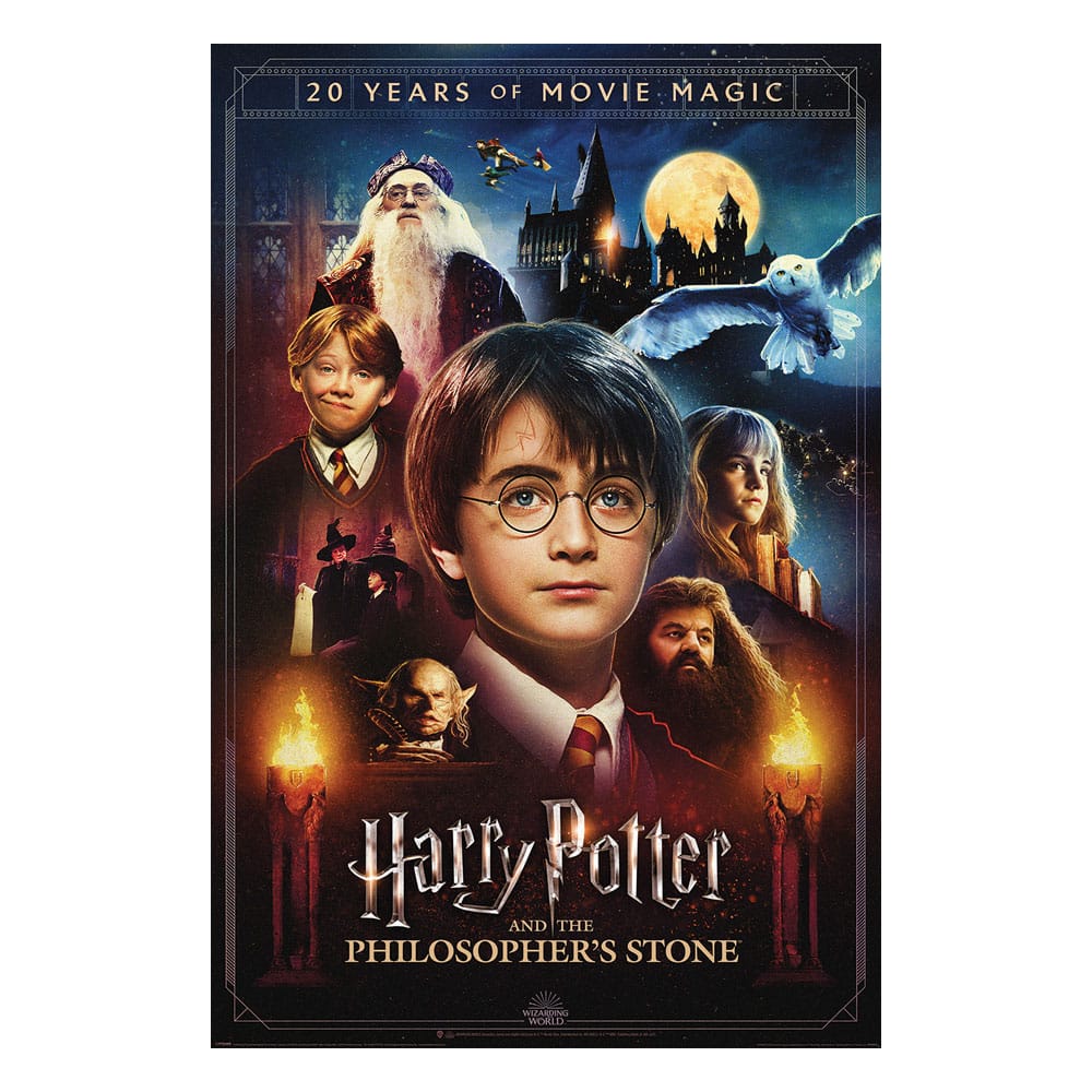Harry Potter Posterpaket 20 Jahre Filmmagie 61 x 91 cm (4)