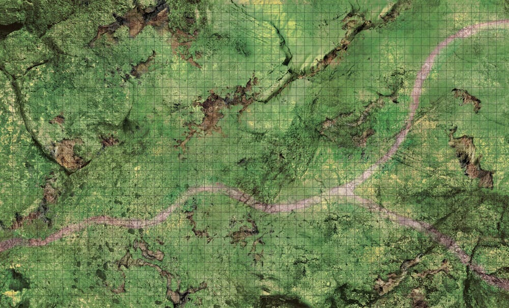 D&D Icons of the Realms: Plains-Kampfmatte