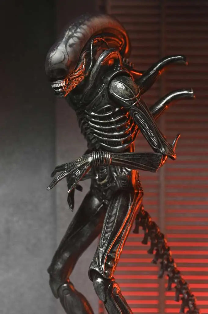 ALIEN ROMULUS XENOMORPH XX121 ULTIMATE AF