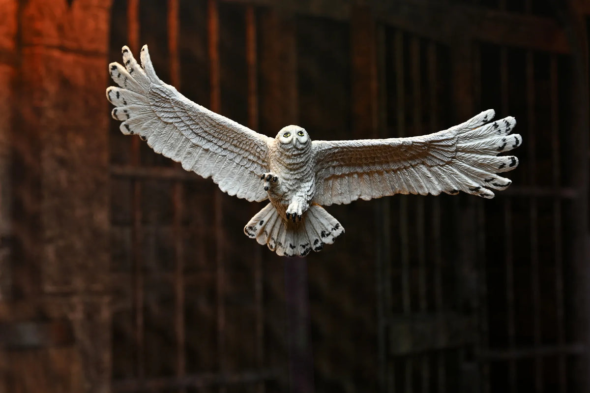 HARRY POTTER LEGACY COLLECTION HARRY POTTER OF