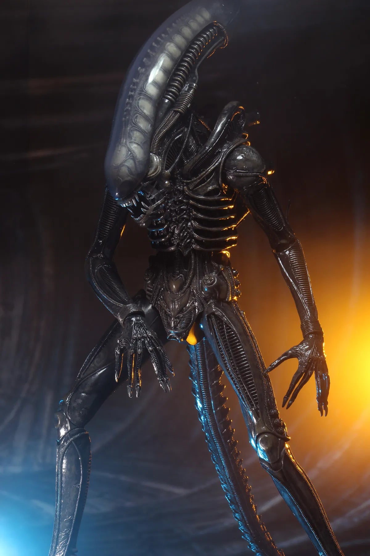 ALIEN BIG CHAP 1/4 AF RERUN