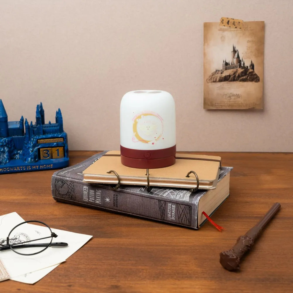 HARRY POTTER ROOM LAMP