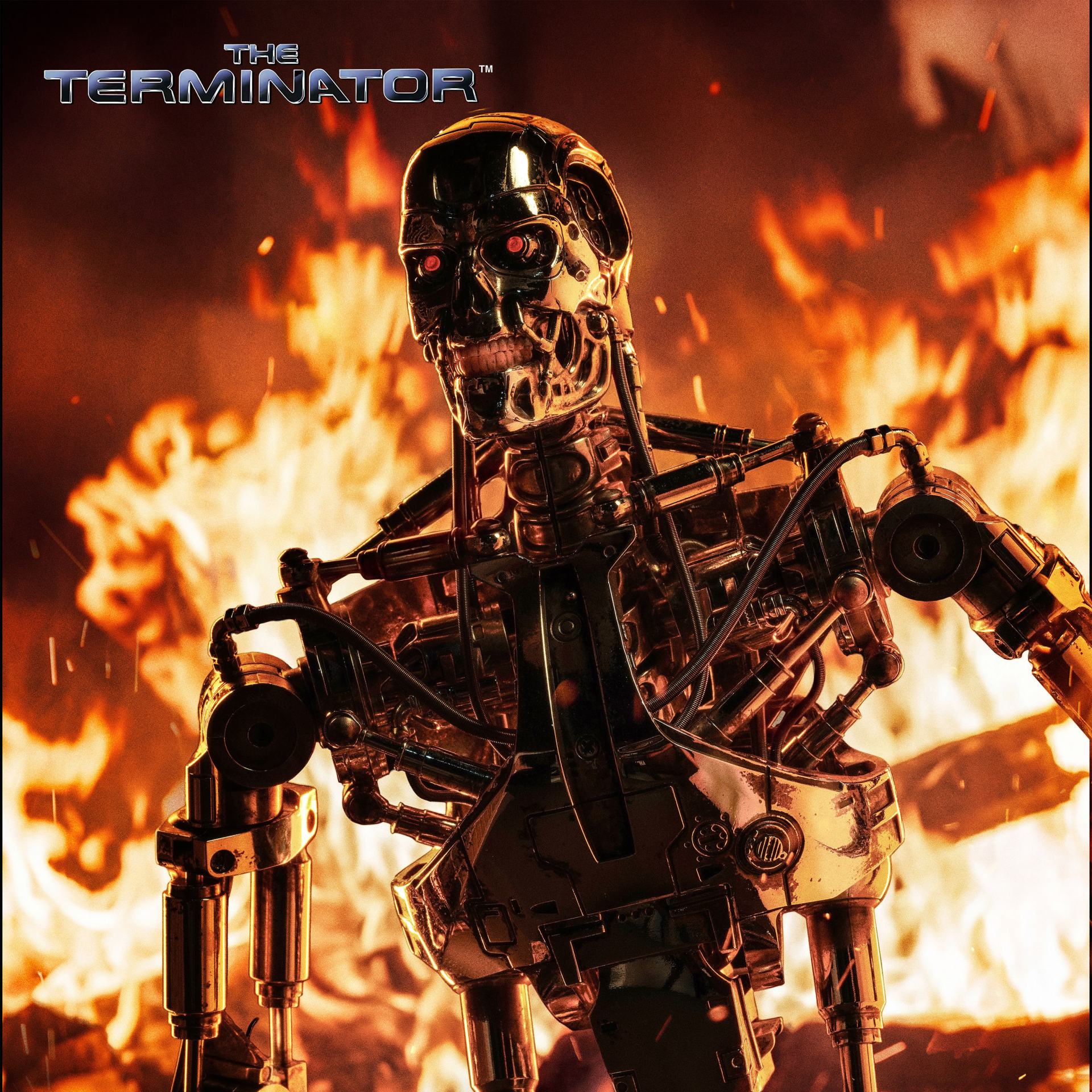 THE TERMINATOR T-800 ENDOSKELETON 1/6 COLLECTIBLE FIGURE
