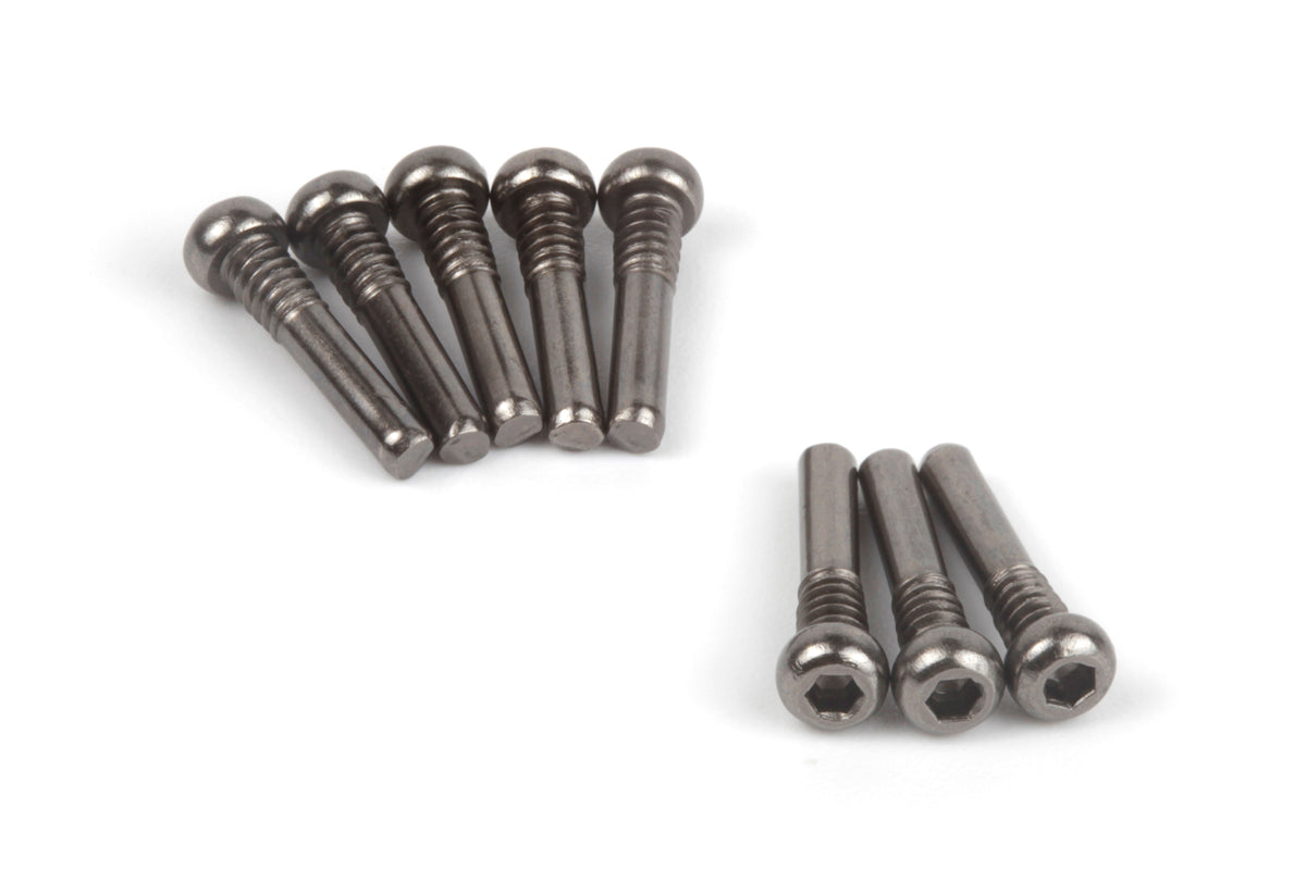 Screw Shaft M2.5x13.5mm (Hex Socket/8pcs)