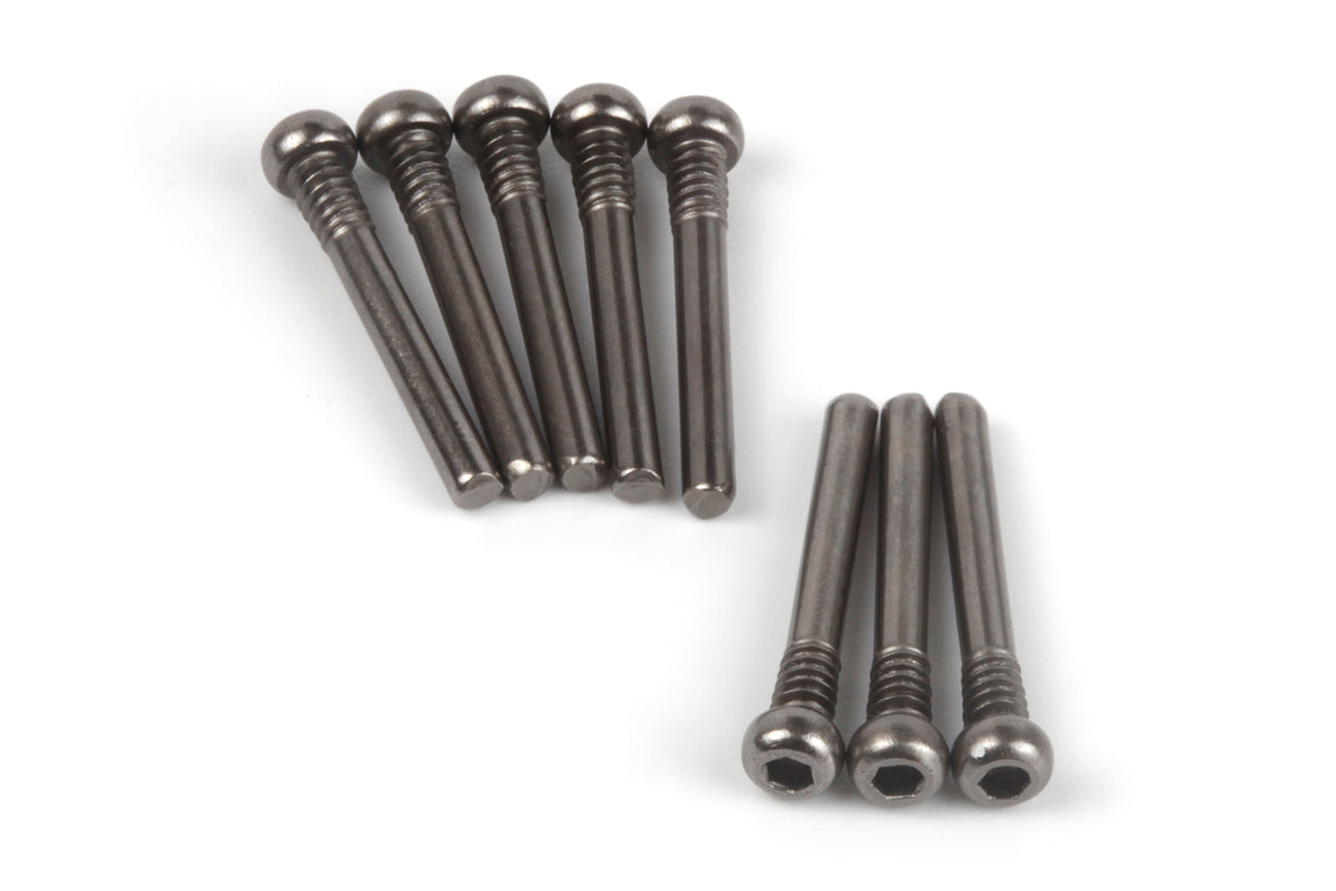 Screw Shaft M2.5x20.5mm (Hex Socket/8pcs)