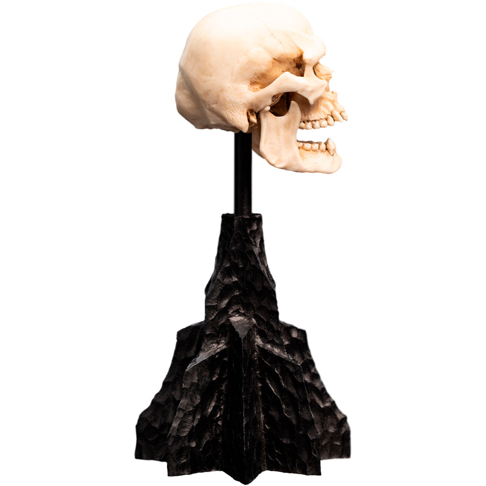 Weta Workshop The Lord of the Rings - Miniature Skull of a Mordor Orc