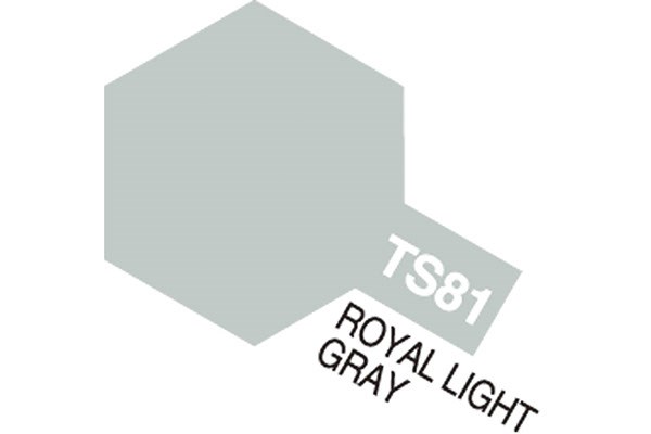 TS-81 Royal Light Gray (Flat)