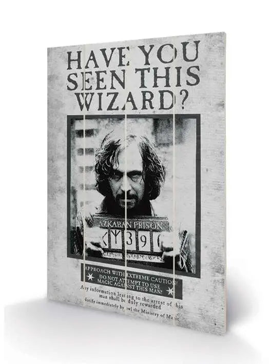 HARRY POTTER SIRIUS WANTED WOOD PRINT