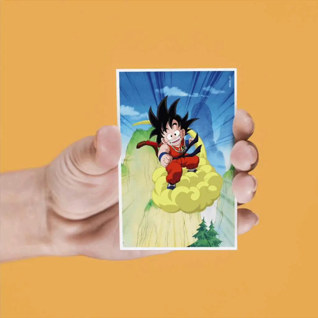 DRAGON BALL 4 LENTICULAR MAGNETS SET