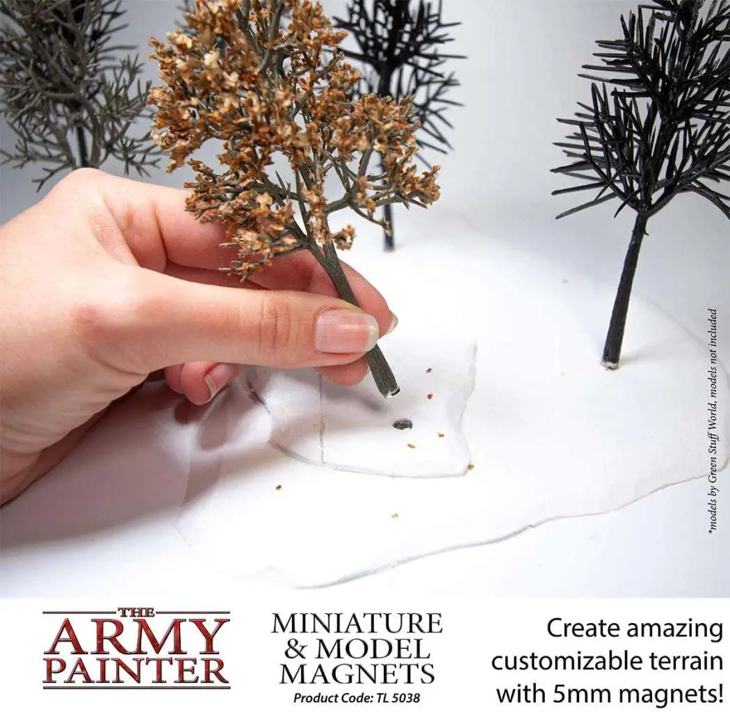 MINIATURE & MODEL MAGNETS