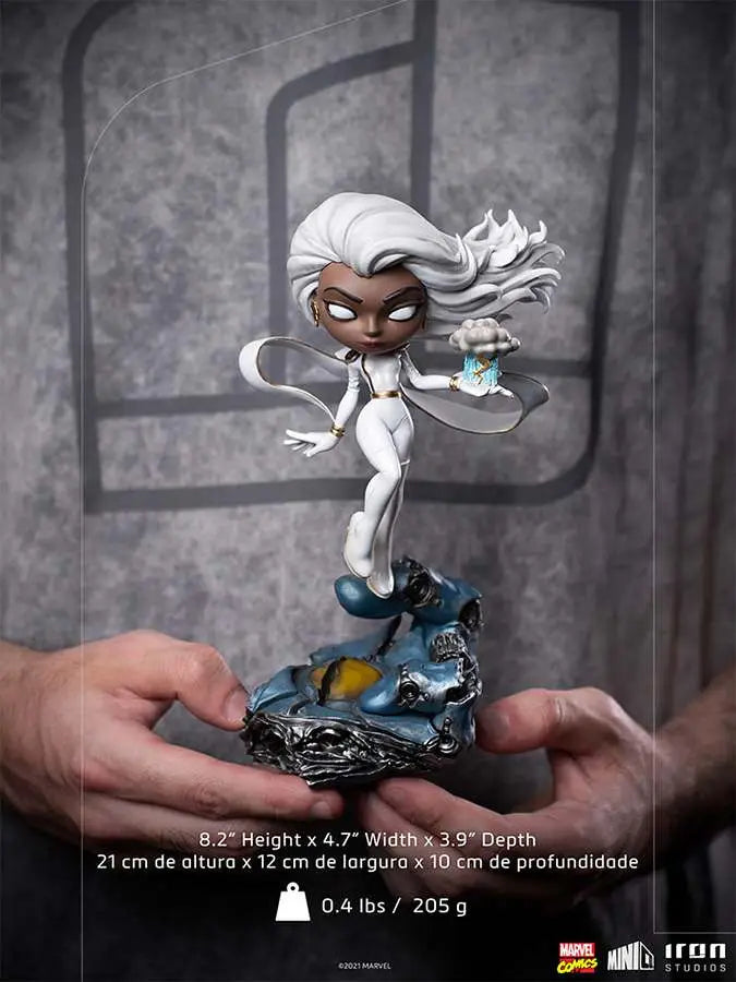 X-MEN STORM MINICO