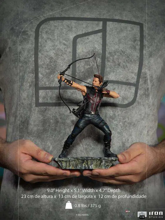 INFINITY SAGA HAWKEYE NY BATTLE 1/10