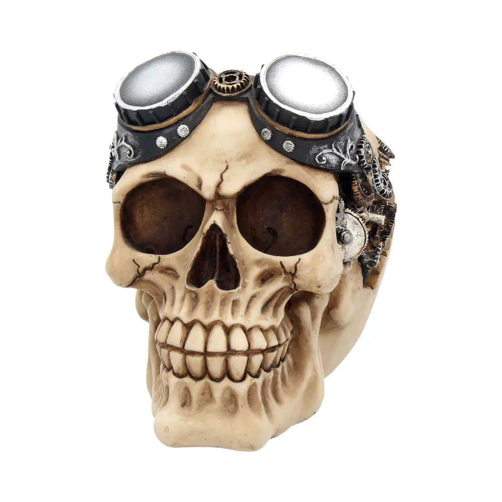 STEAMPUNK GOGGLES SKULL