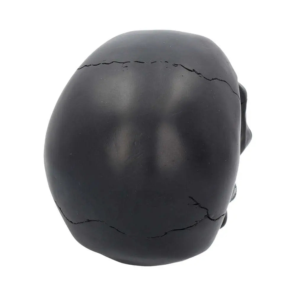 SKULL GOTHIC BLACK ROSE FROM THE DEAD
