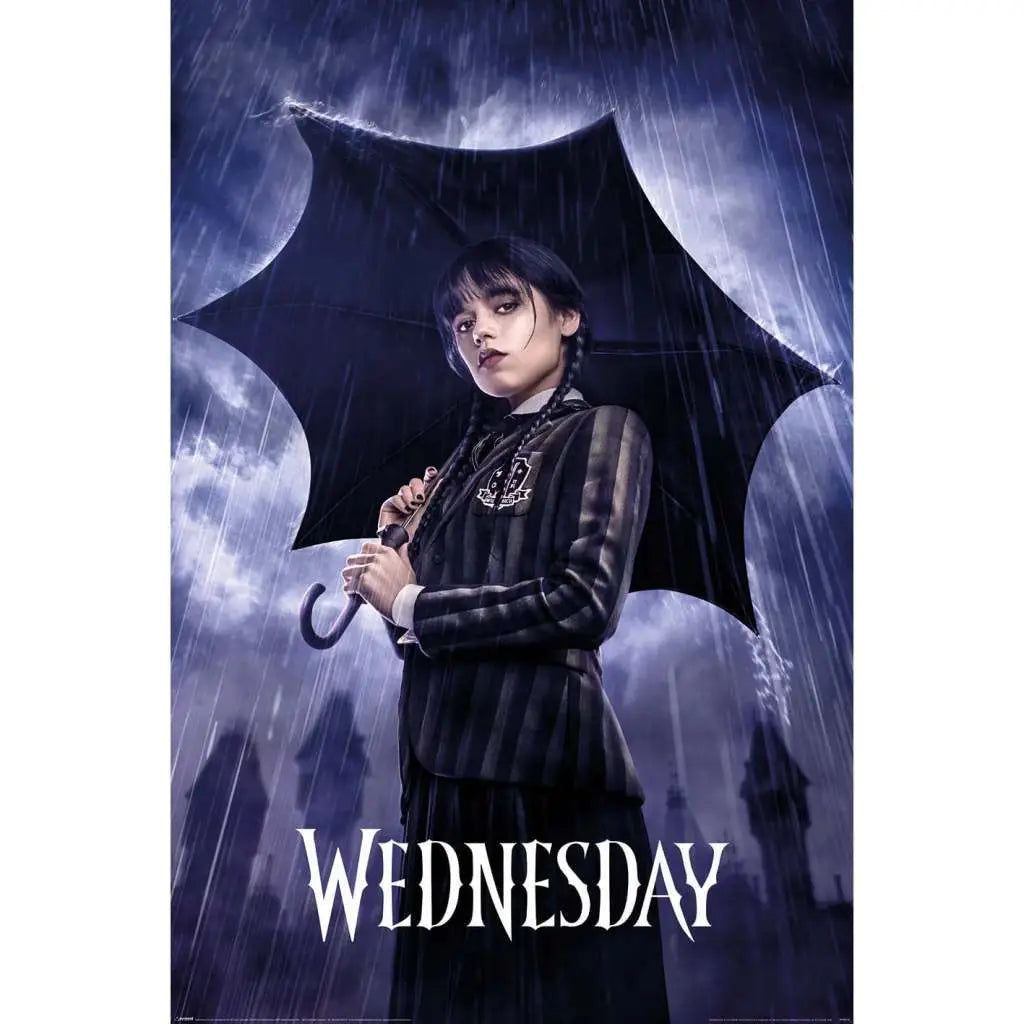 WEDNESDAY POSTERS ASSORTMENT BIN (40)