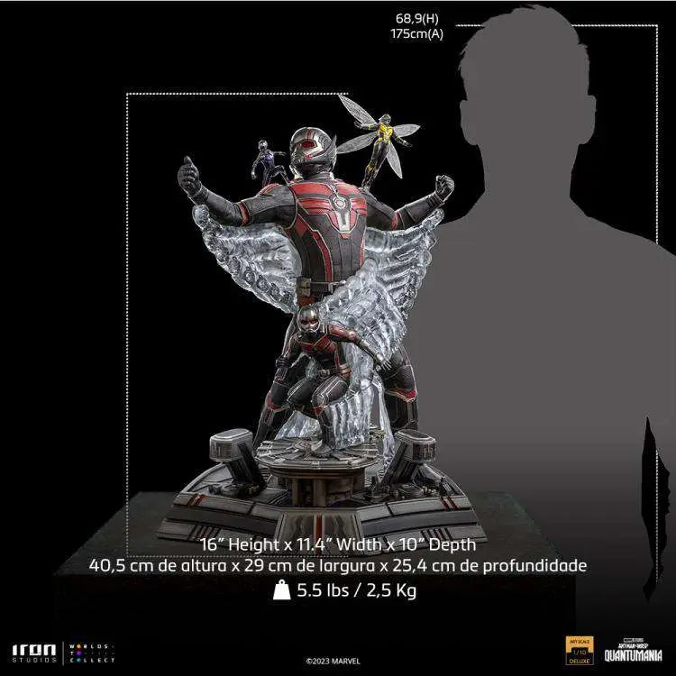 Ant-Man and Wasp Quantumania Dlx 1/10 st