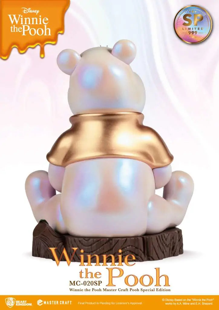 WINNIE THE POOH  SPECIAL ED.MASTER CRAFT