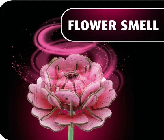 WOODEN FLOWER - Flower Garden - 181pc