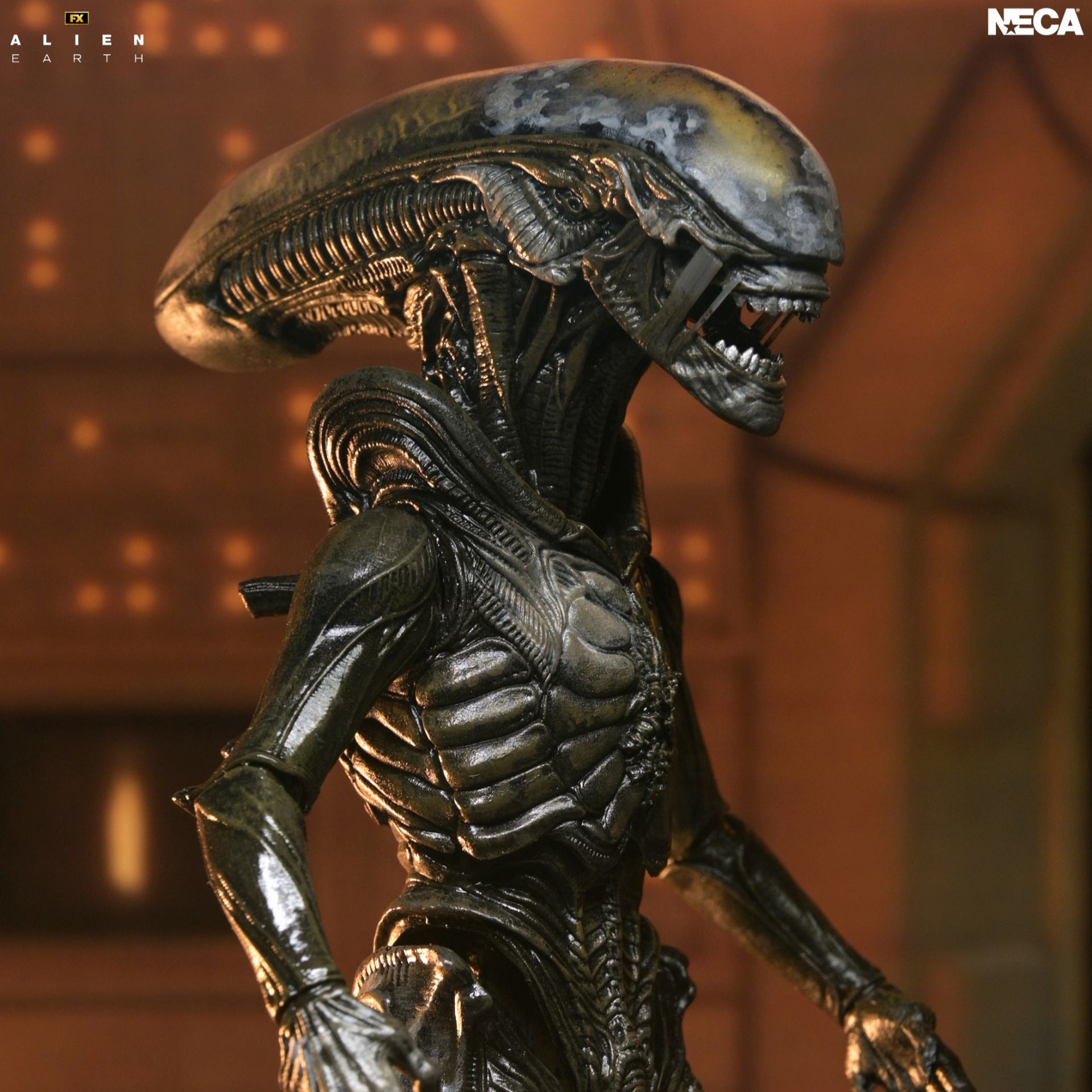 ALIEN EARTH - Wendy Xenomorph  - Figure Ultimate 17cm