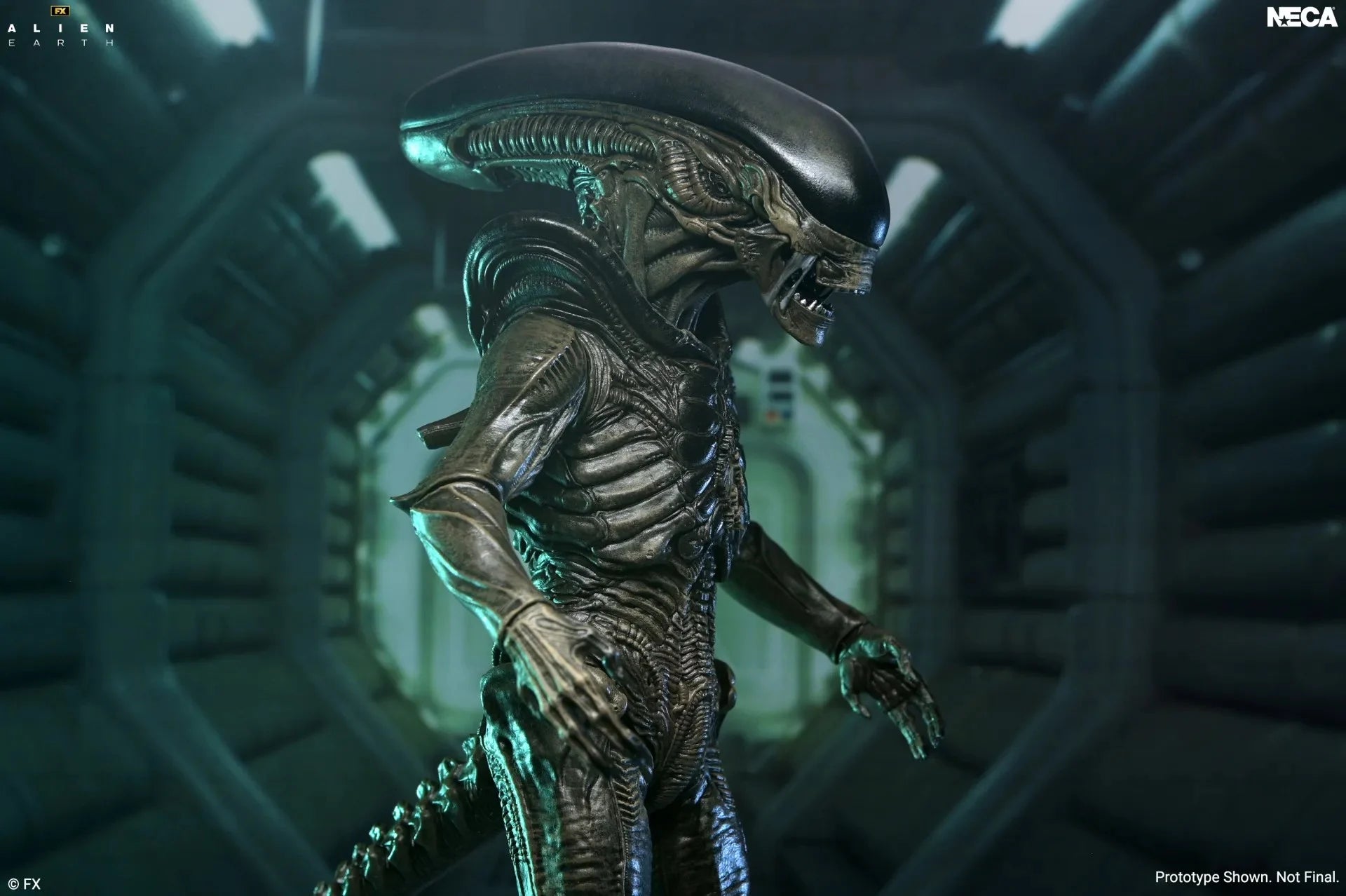 ALIEN EARTH - Xenomorph  - Figure Ultimate 17cm