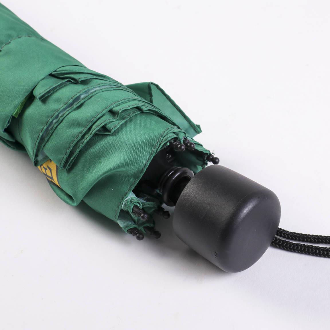 HARRY POTTER – Slytherin – faltbarer Regenschirm 53 cm